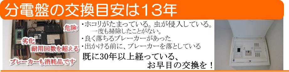 分電盤交。一度もお掃除していない　ホコリや虫の侵入が多々あり危険です。良く落ちるブレーカがある。手動で落としている。30年以上経っている。などがあれば早めに交換しましょう！